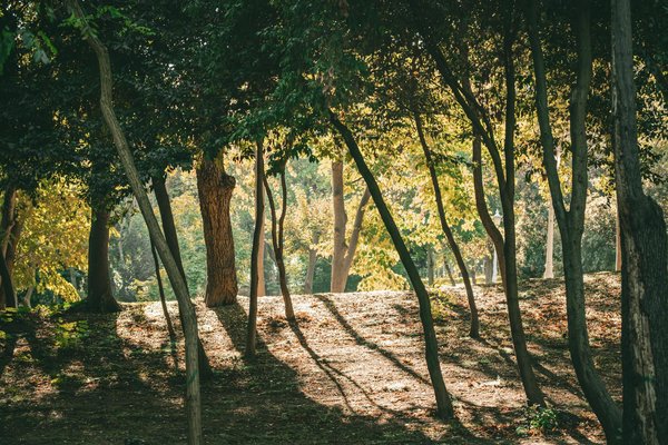 Centre de médecine esthétique à caen : solutions sur mesure
